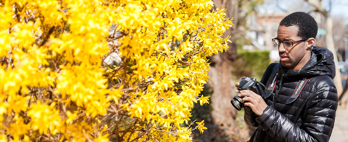 A man holding a camera in front of a yellow-flowered bush